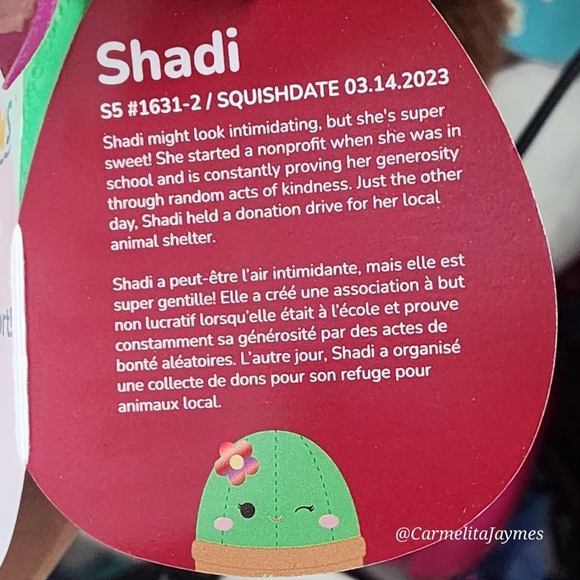 SHADI 🌵Heart Valentines Cactus Original Squishmallow By Kellytoy NWT - Picture 6 of 6